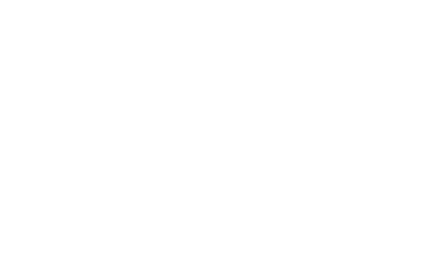 vanguard action